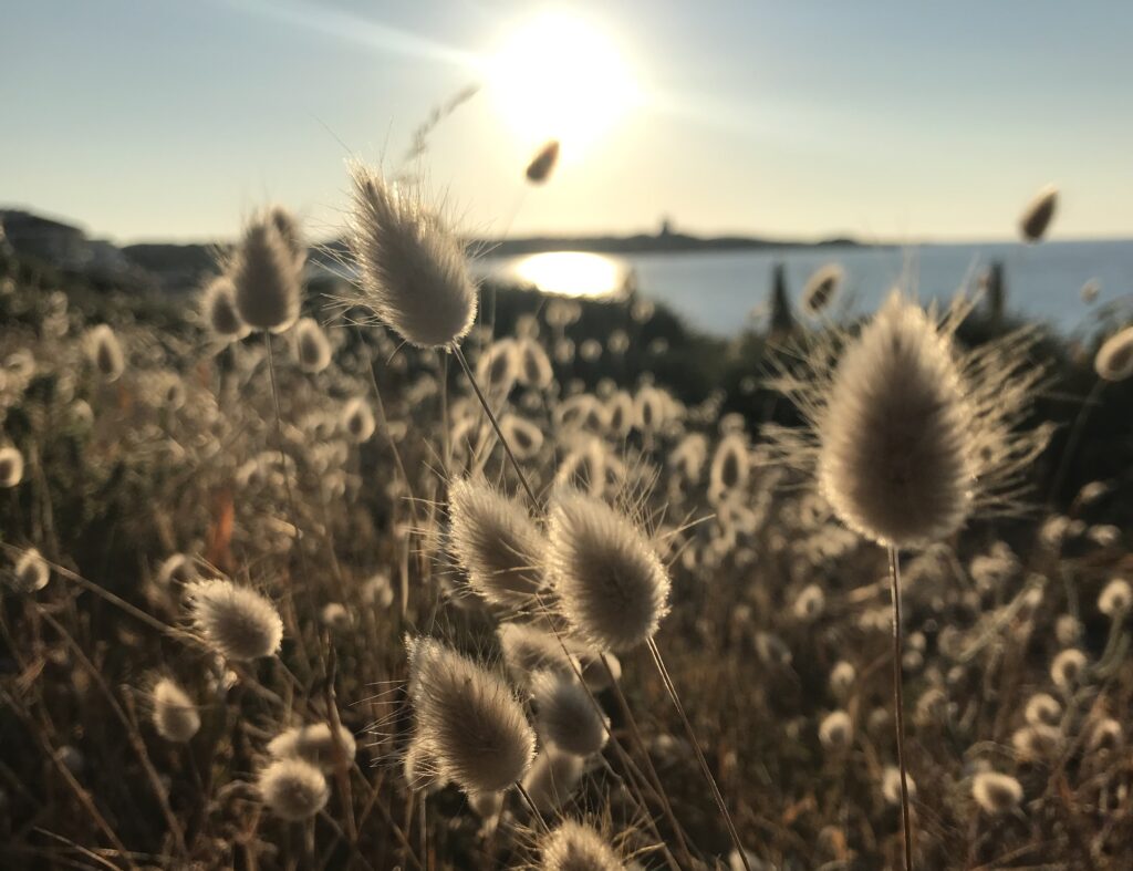 la bellezza dei paesaggi marini della Sardegna