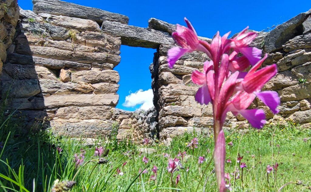 ingresso del sito archeologico sa domu'e urxia